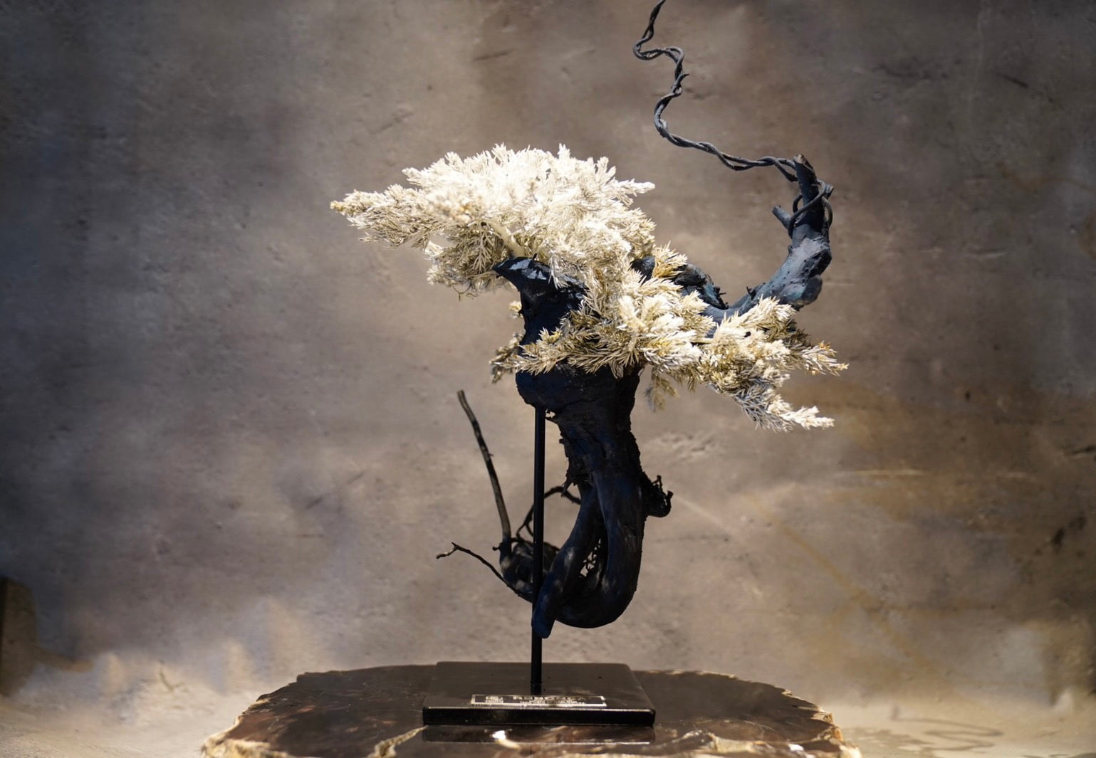 2023年7月8日(土)~ ハンズ宜野湾コンベンションシティ店にてPOP UP EVENTを開催中!