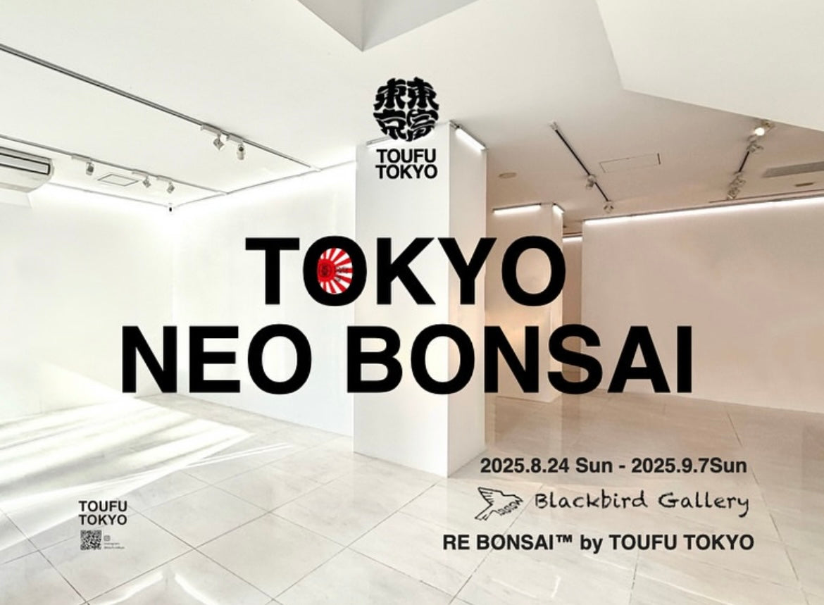 名古屋初の個展をBlackbird Galleryにて2025年8月24日(日)~9月7日(日)に開催します