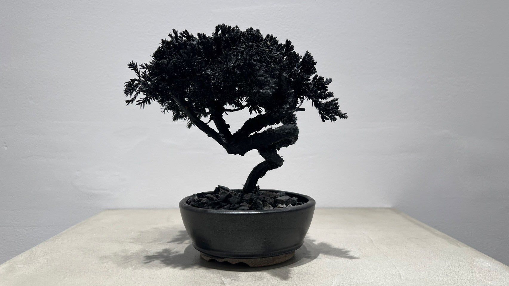 RE BONSAI™️(漆黒色)