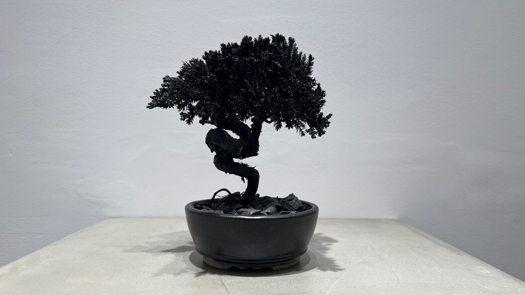 RE BONSAI™️(漆黒色)