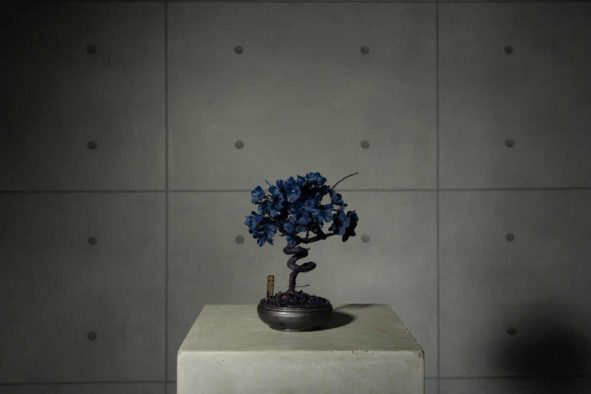 7/29 new RE BONSAI™️ AIZOME SAKURA HACHI