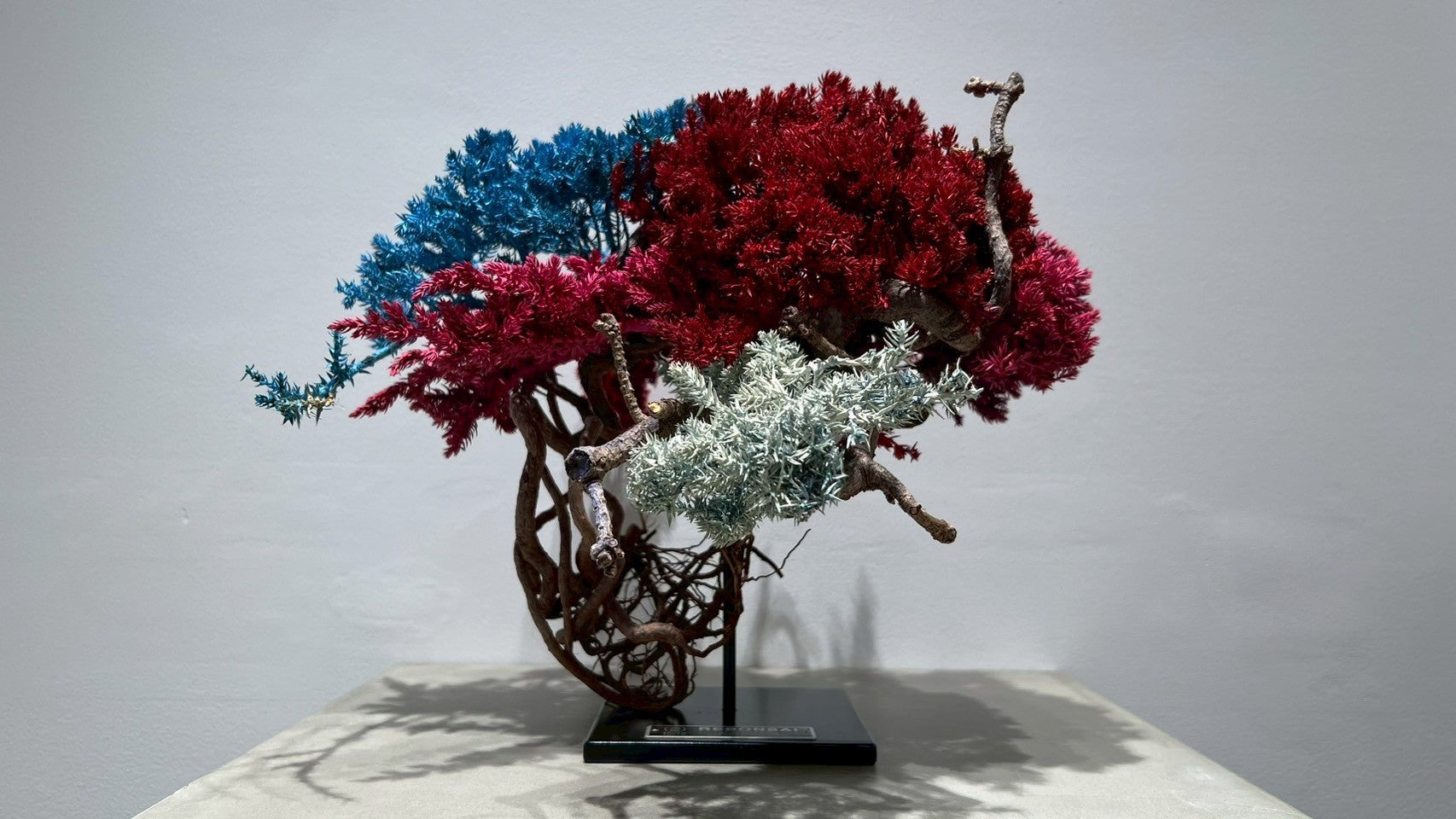 RE BONSAI™️ (紅樺色/空色/撫子色)