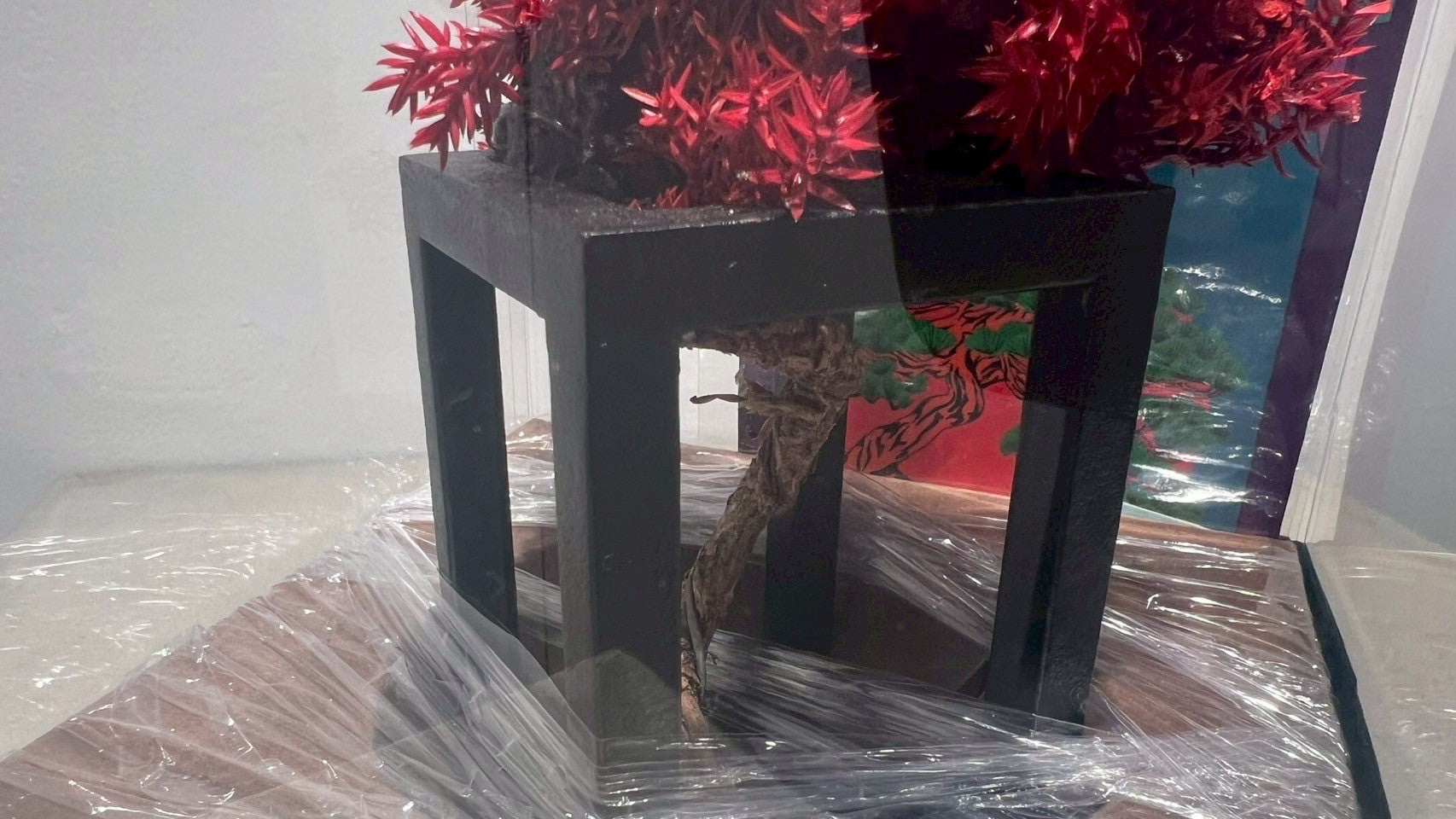 RE BONSAI™️(紅樺色)