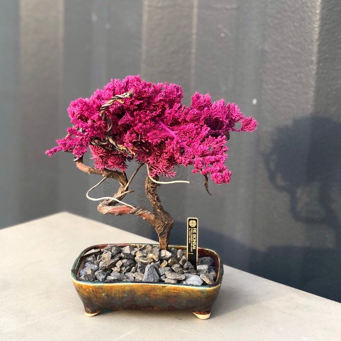 RE BONSAI™️ HACHI(桃色)