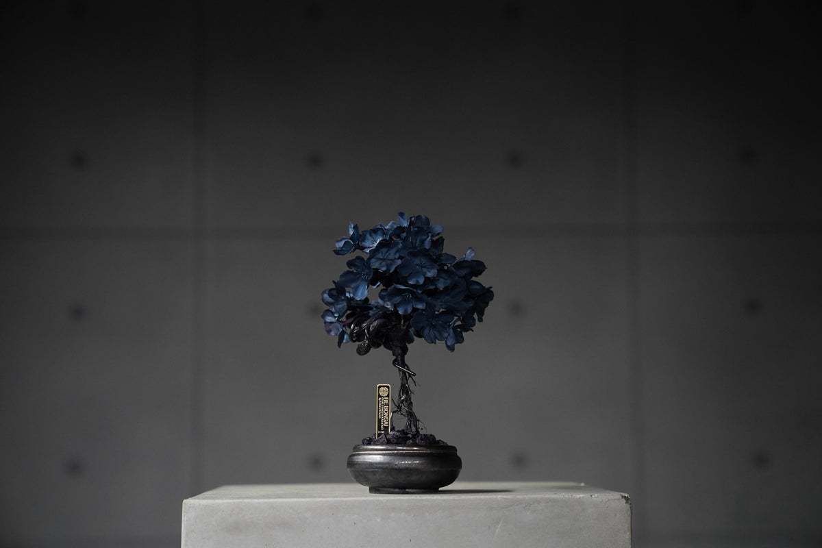9/15 new RE BONSAI™️ AIZOME SAKURA HACHI