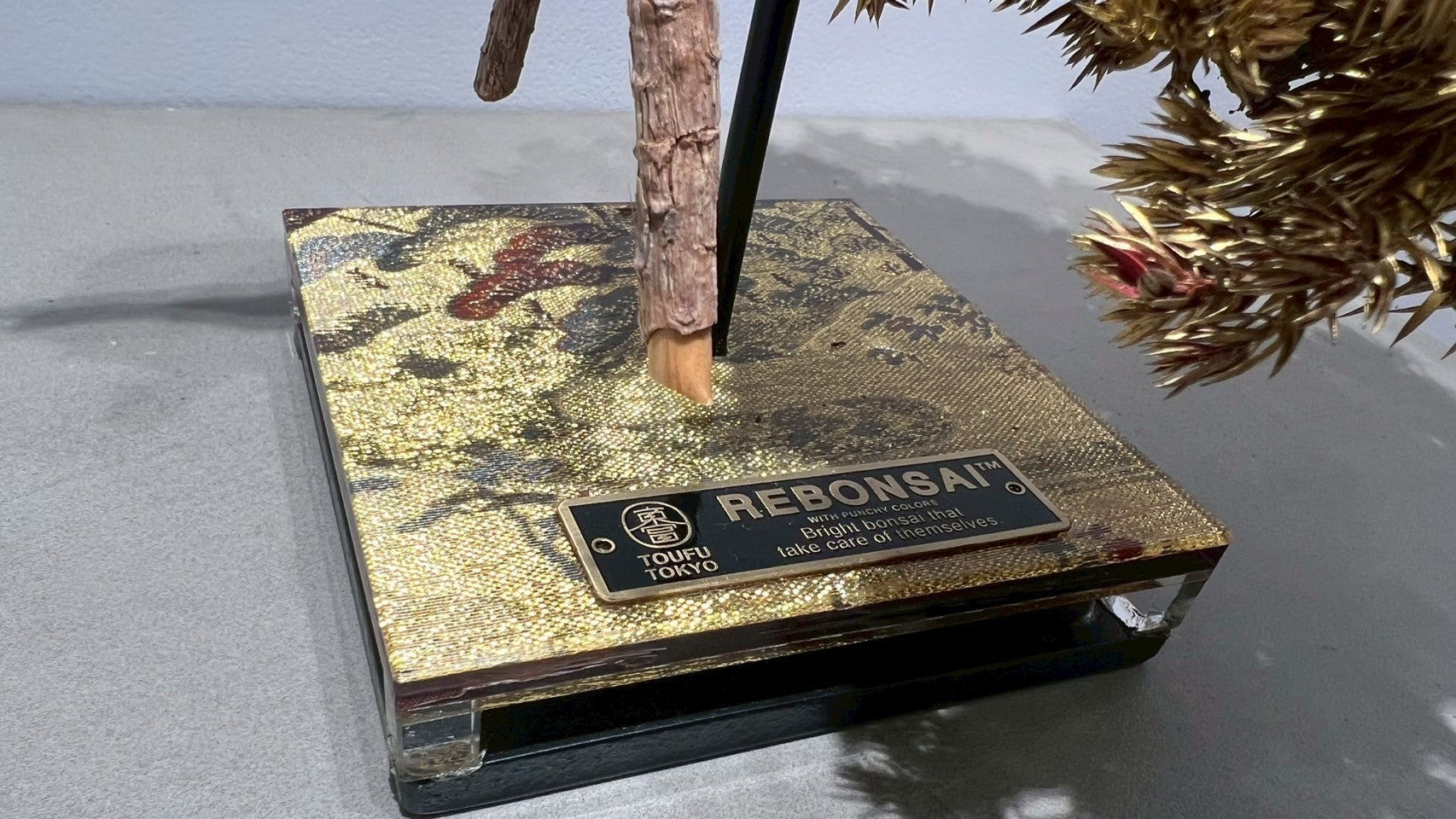 RE BONSAI™️(黄檗色)