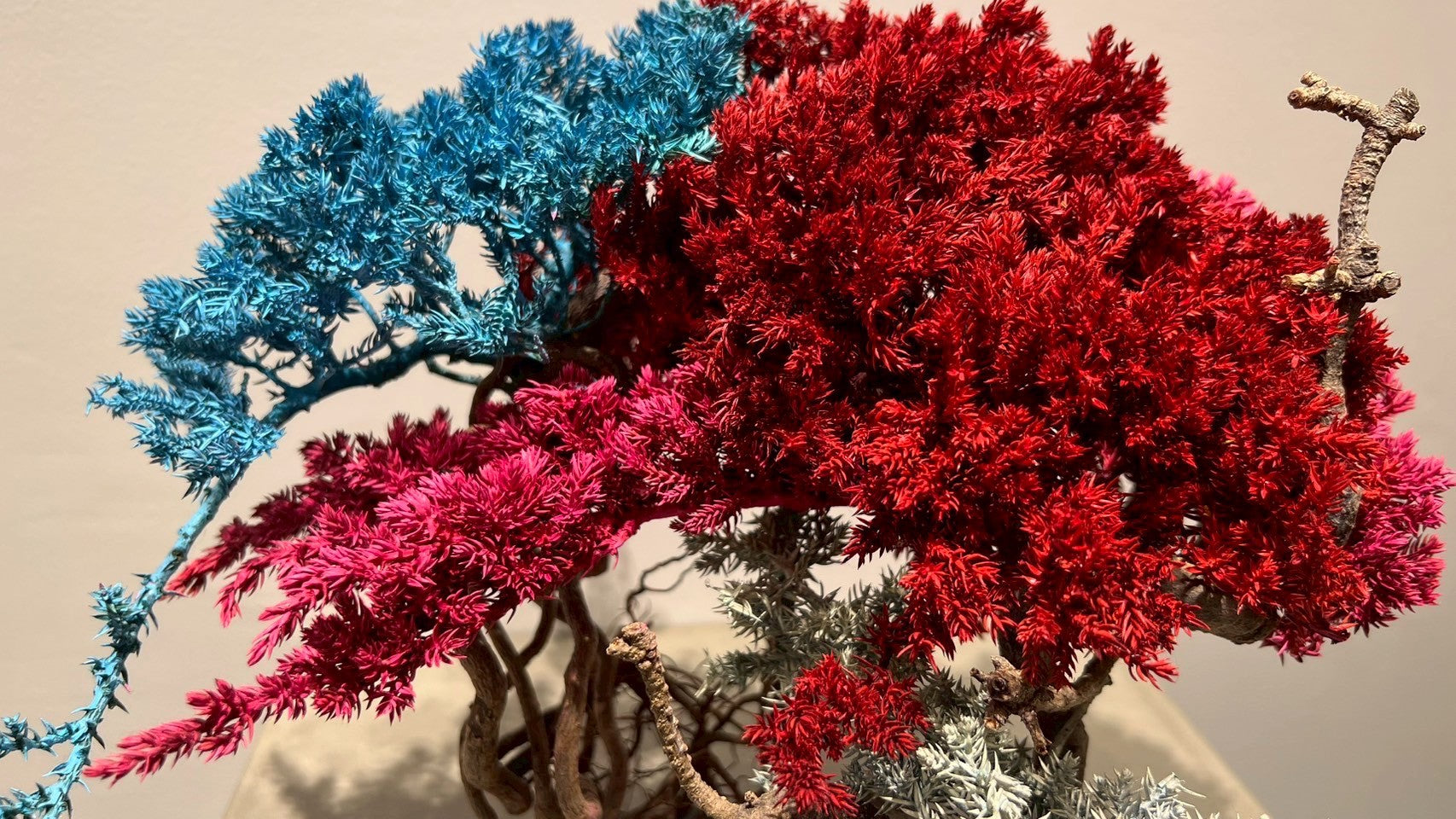 RE BONSAI™️ (紅樺色/空色/撫子色)