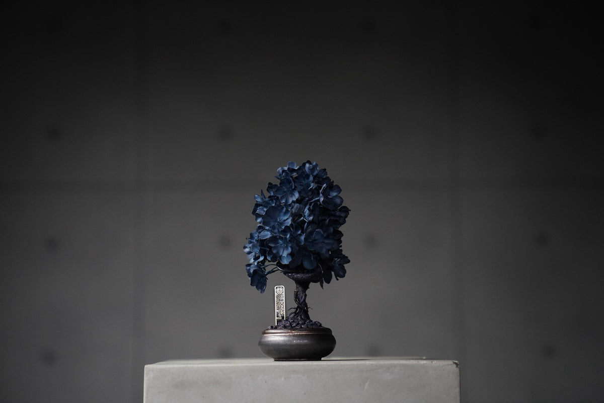 9/15 new RE BONSAI™️ AIZOME SAKURA HACHI