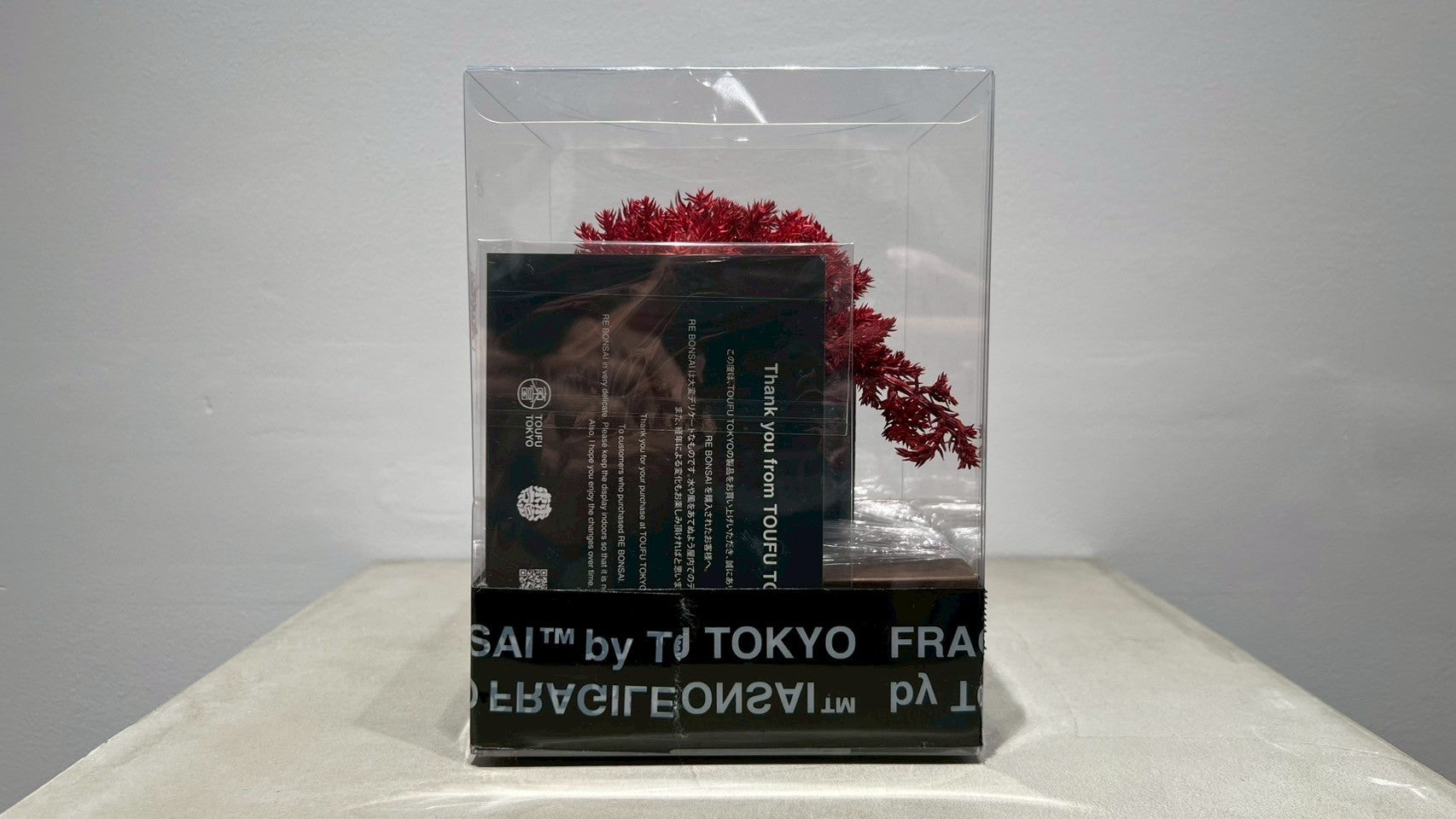 RE BONSAI™️(紅樺色)