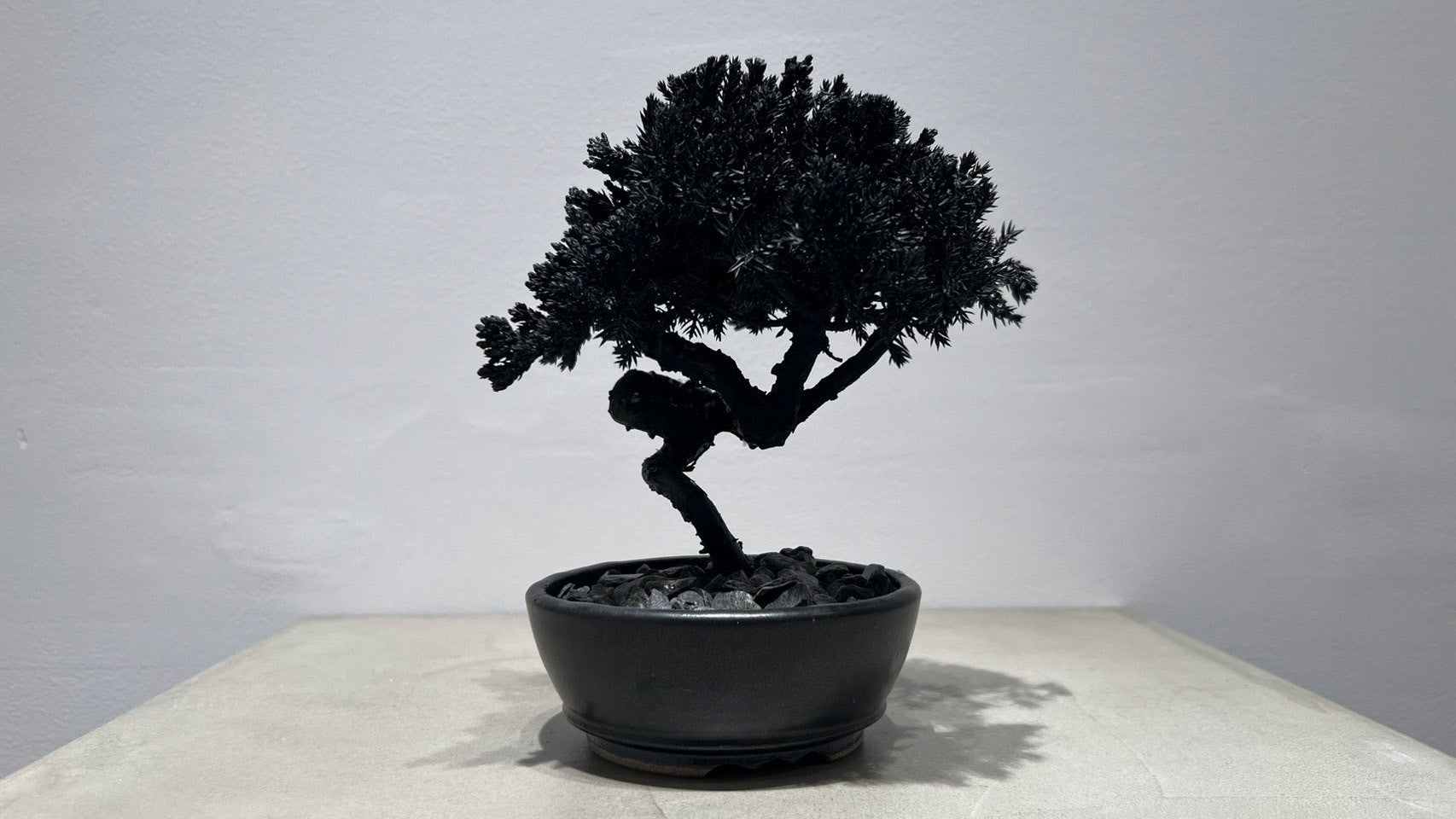 RE BONSAI™️(漆黒色)