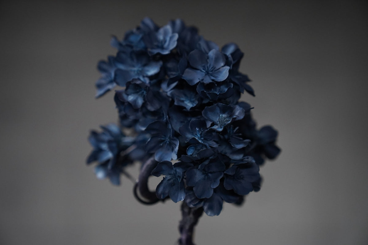 9/15 new RE BONSAI™️ AIZOME SAKURA HACHI