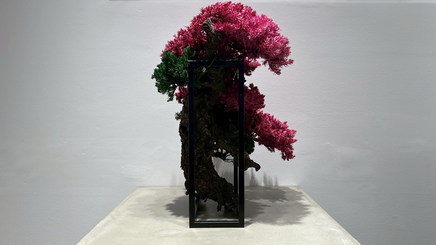 RE BONSAI™️ Frame(撫子色)