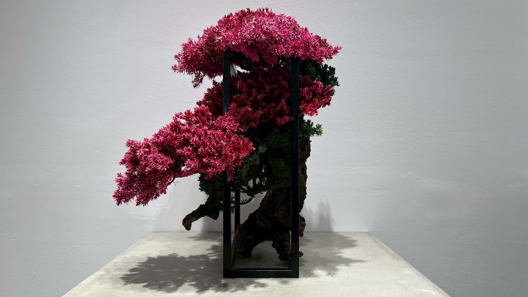 RE BONSAI™️ Frame(撫子色)