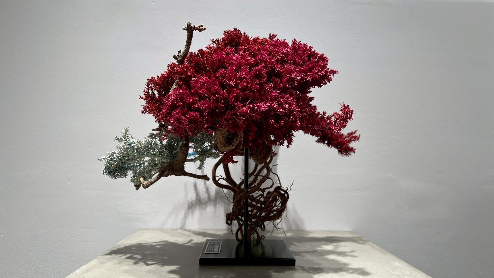 RE BONSAI™️ (紅樺色/空色/撫子色)