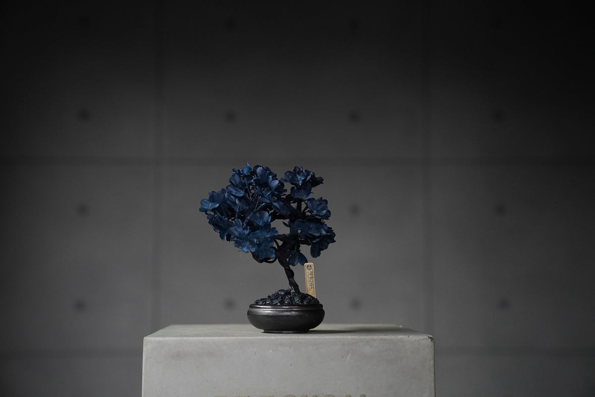 9/15 new RE BONSAI™️ AIZOME SAKURA HACHI