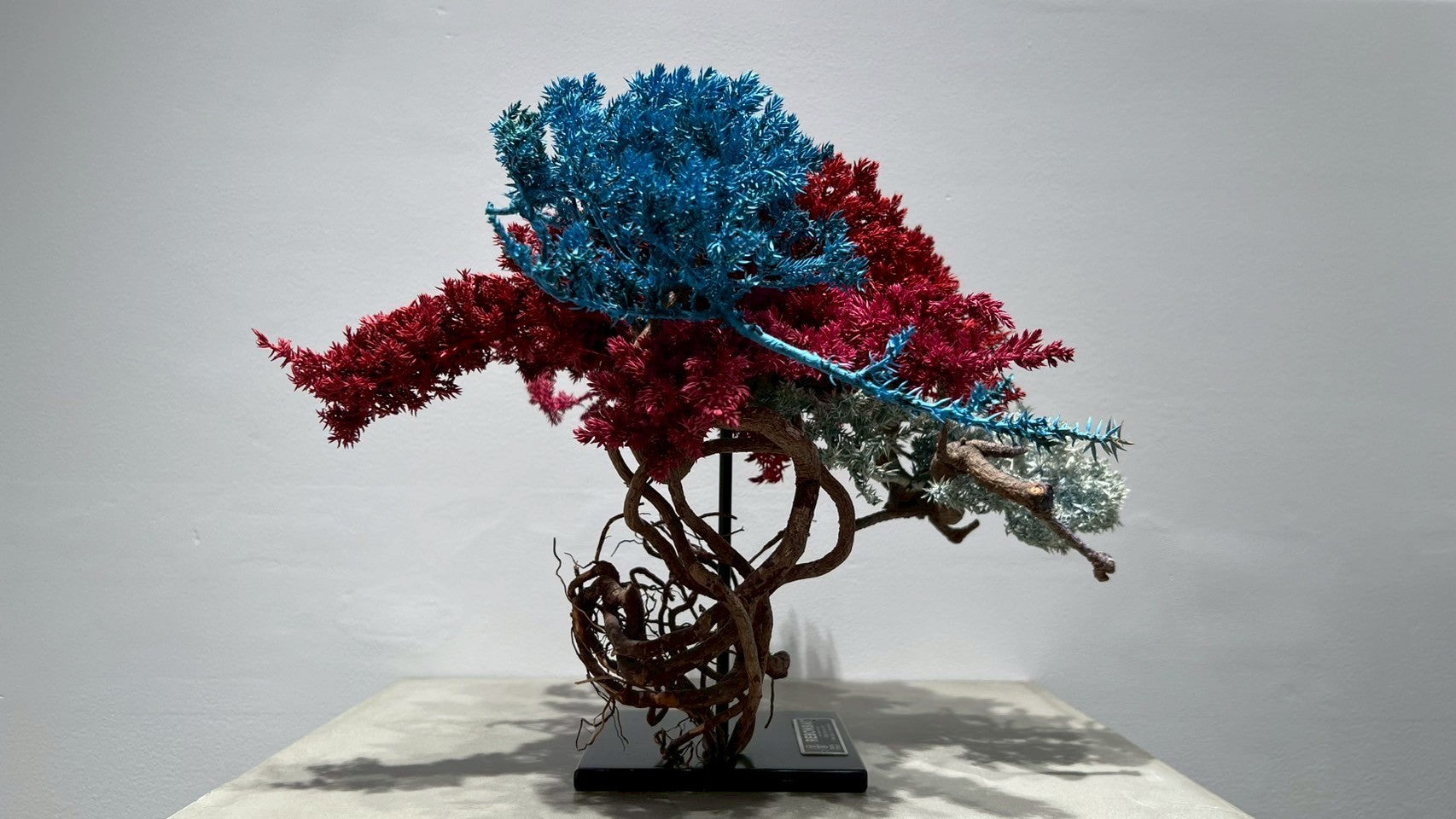 RE BONSAI™️ (紅樺色/空色/撫子色)