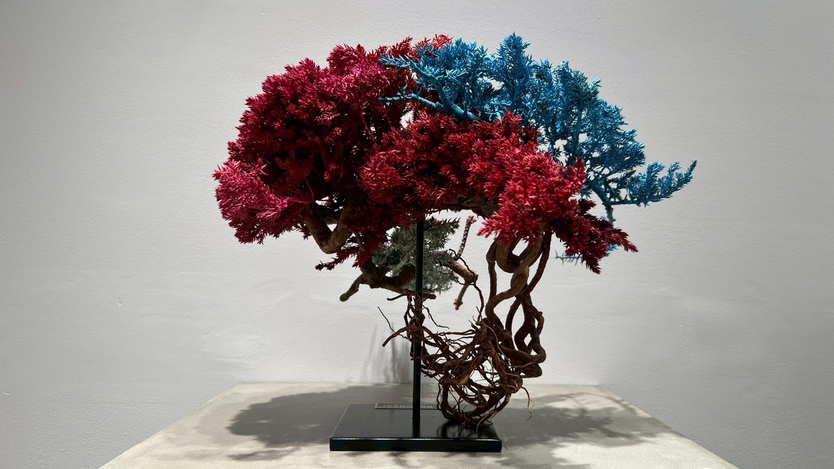 RE BONSAI™️ (紅樺色/空色/撫子色)