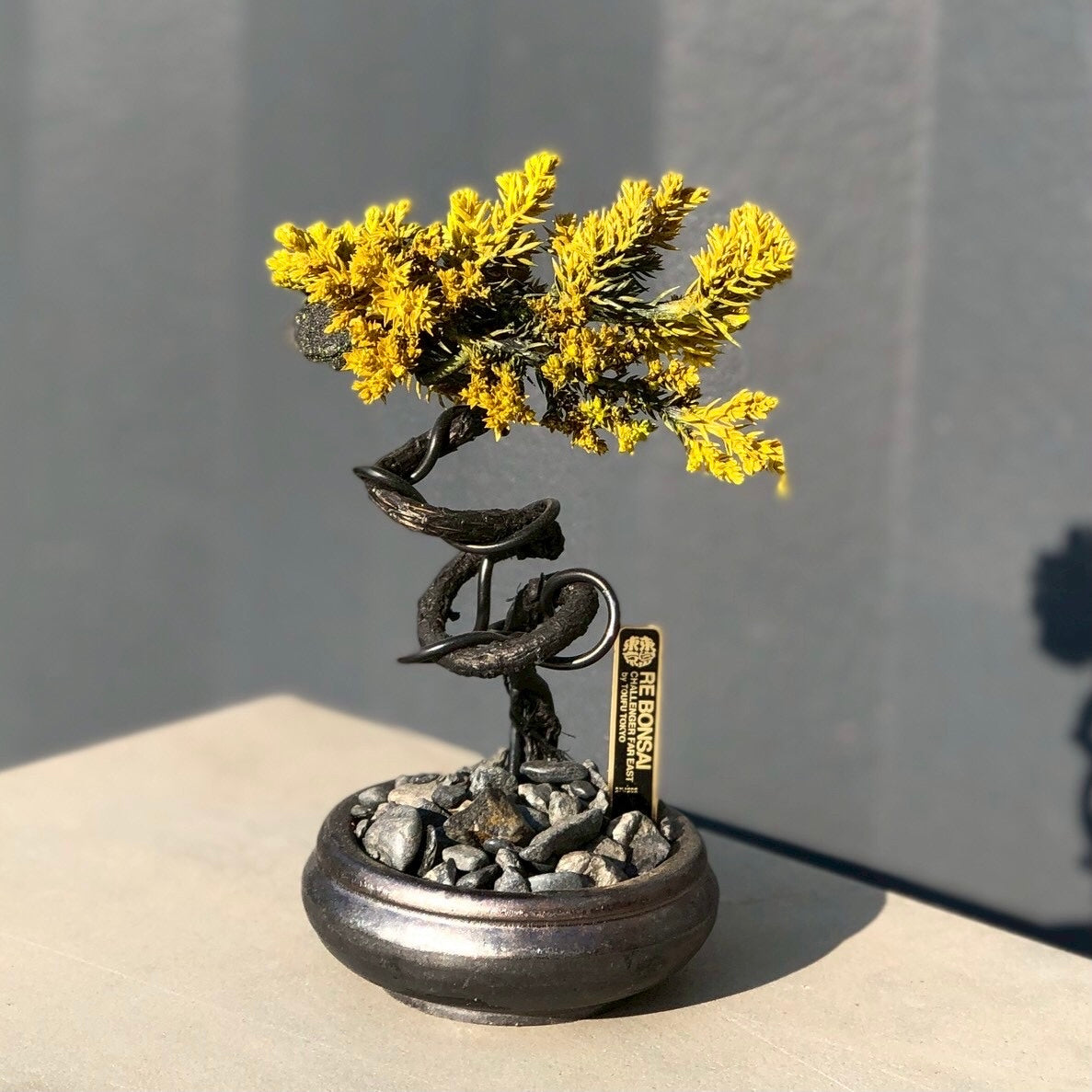 木製彫刻 置物 BONSAI RE BONSAI™️ HACHI（黄檗色）
