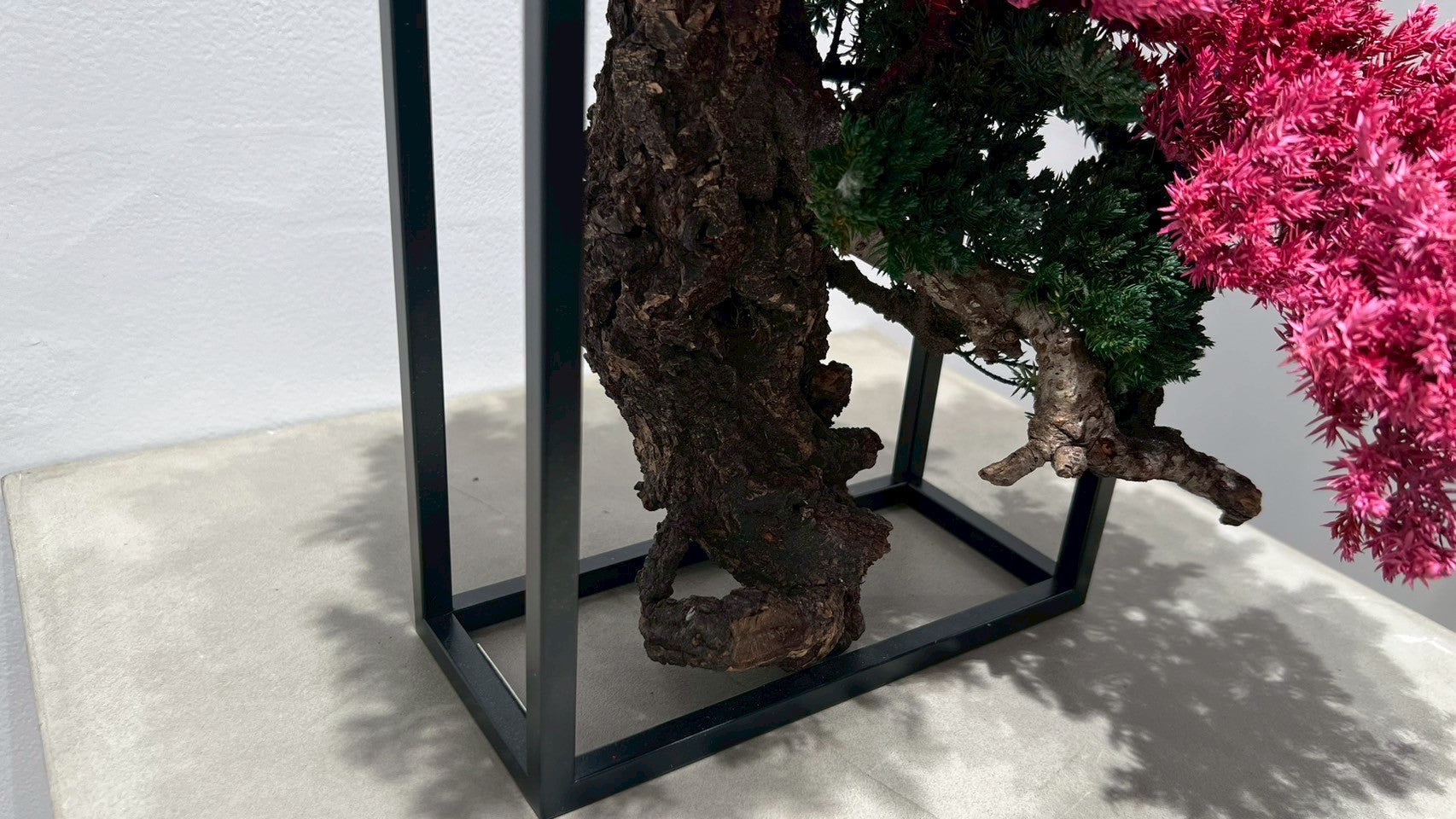 RE BONSAI™️ Frame(撫子色)