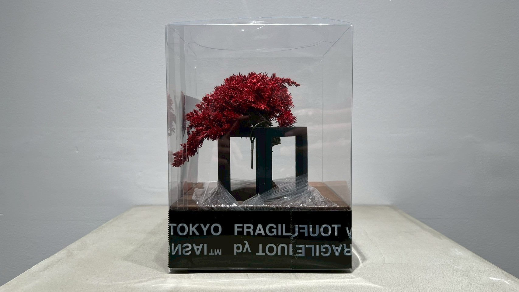 RE BONSAI™️(紅樺色)