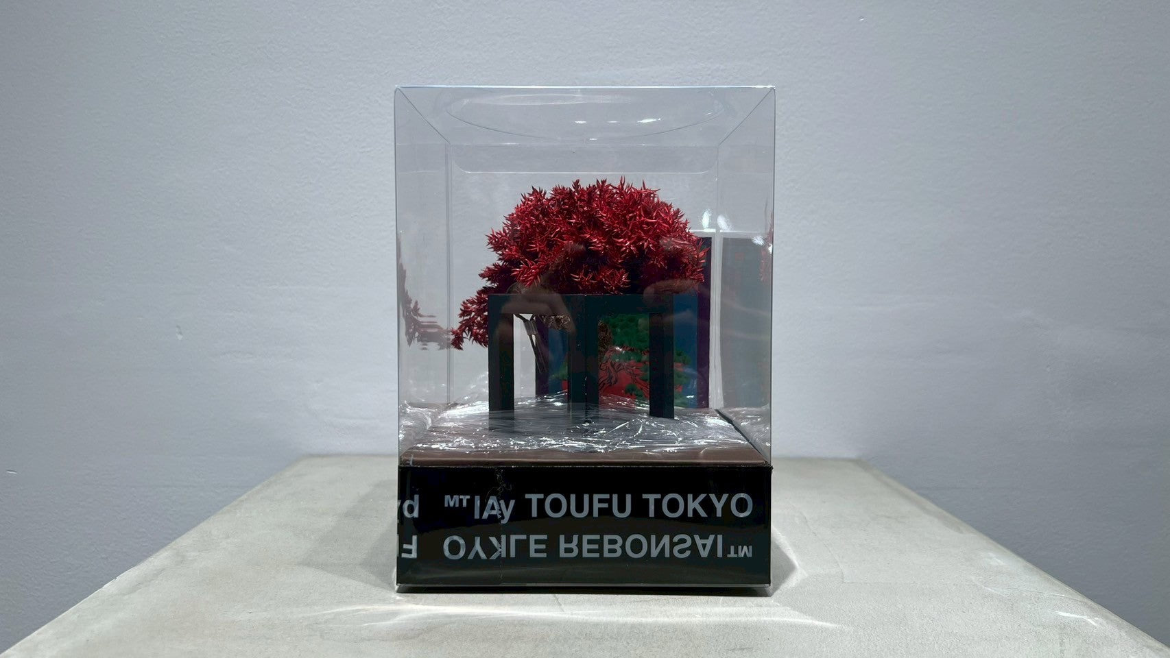 RE BONSAI™️(紅樺色)