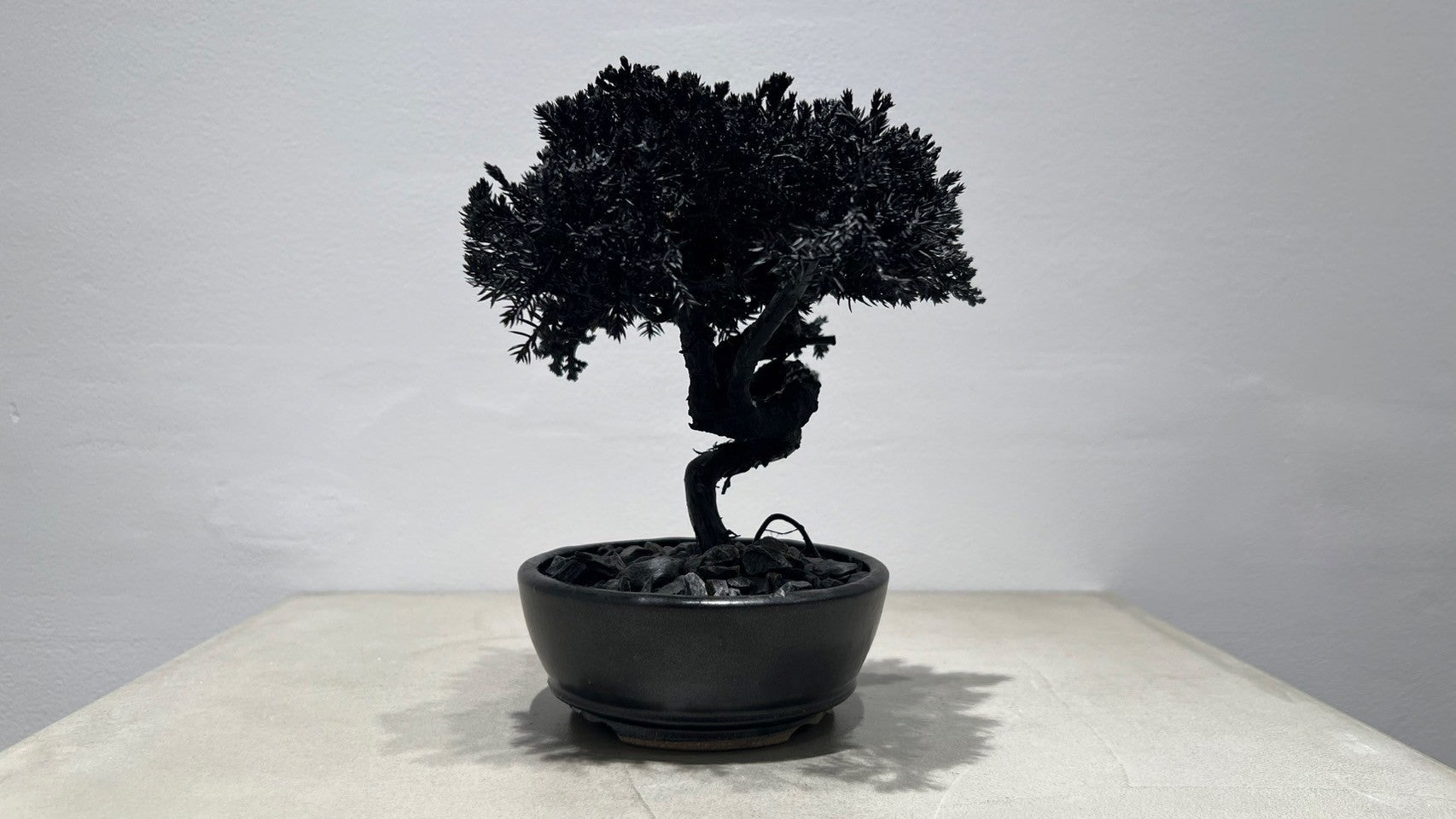 RE BONSAI™️(漆黒色)