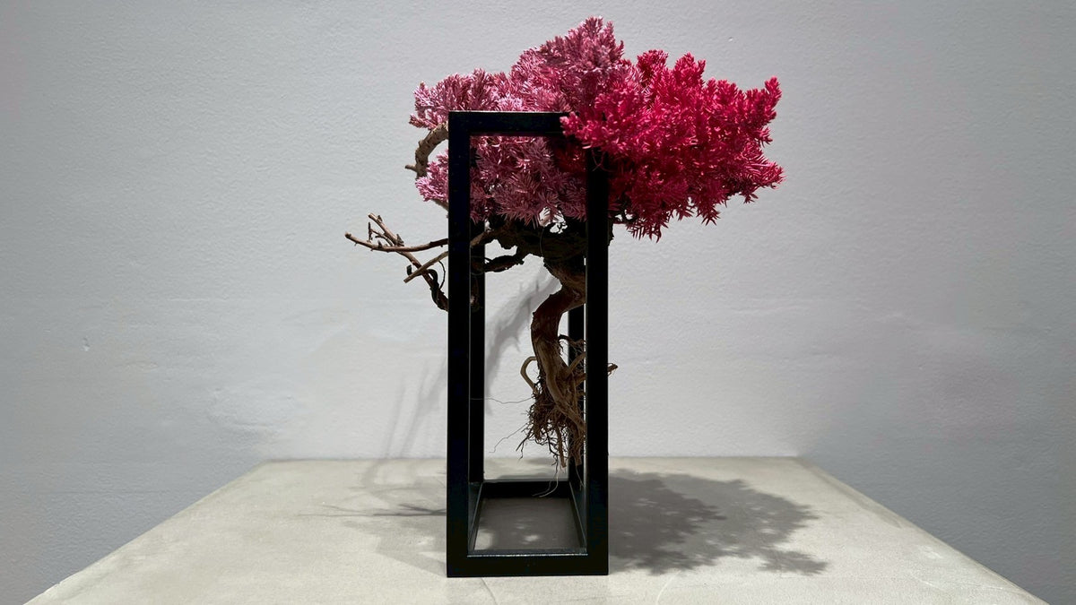 RE BONSAI™️ Frame(撫子色)