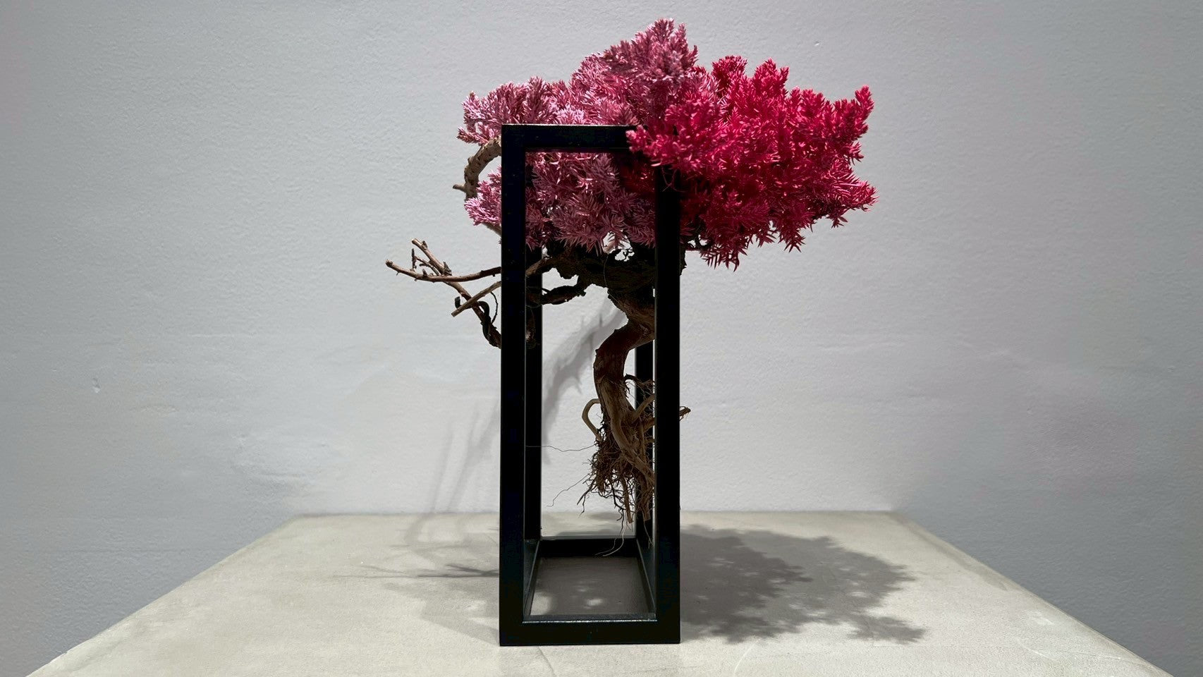 RE BONSAI™️ Frame(撫子色)