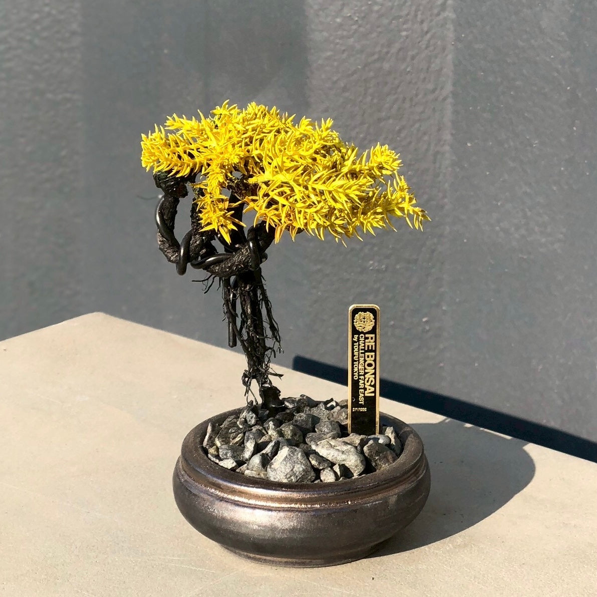 RE BONSAI™️ HACHI(黄檗色)