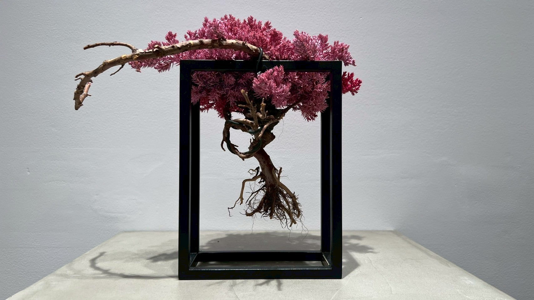 RE BONSAI™️ Frame(撫子色)