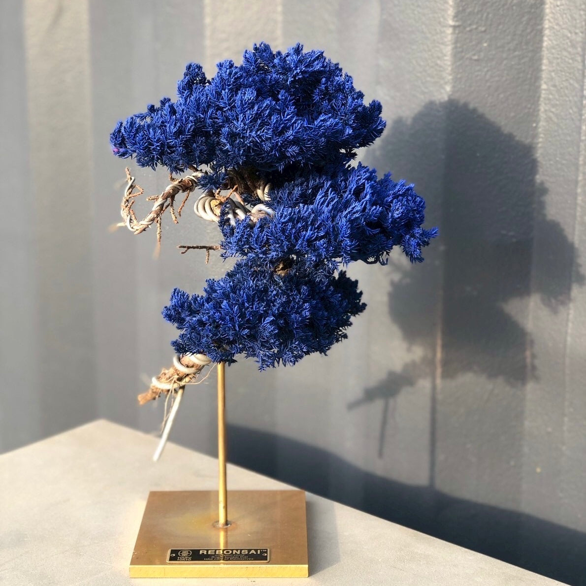 RE BONSAI™️ STAND(紺藍色)