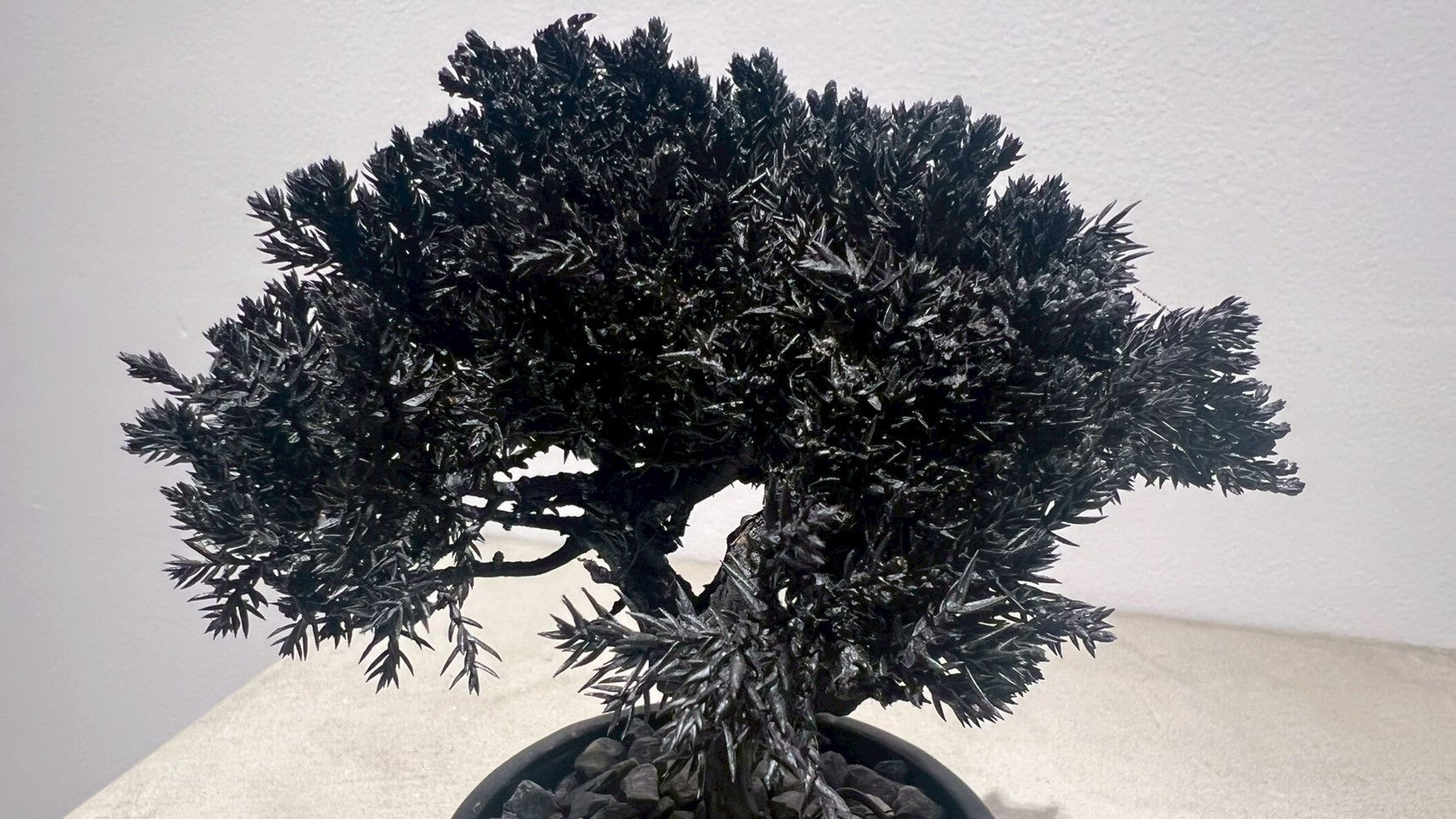 RE BONSAI™️(漆黒色)
