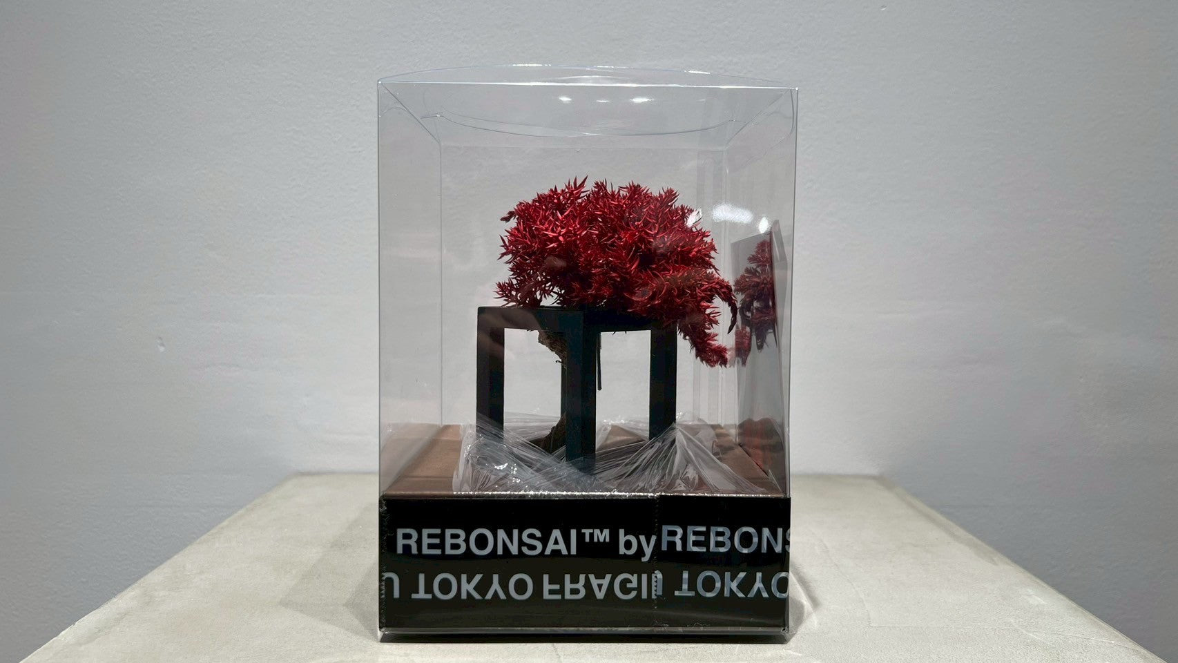 RE BONSAI™️(紅樺色)