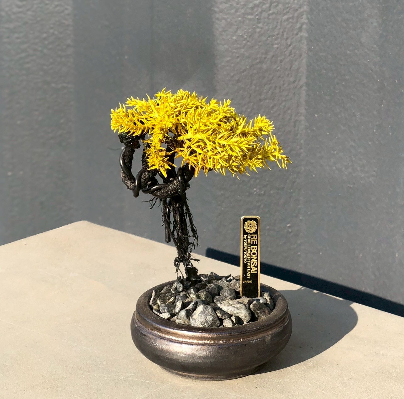 RE BONSAI™️ HACHI（黄檗色）