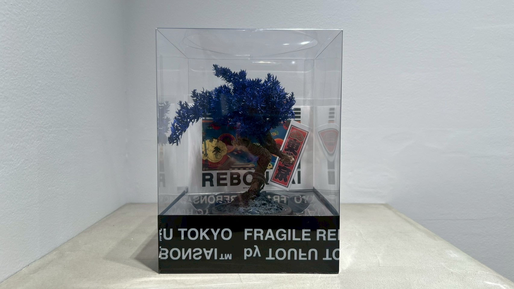 RE BONSAI™️(黒松/紺藍色)