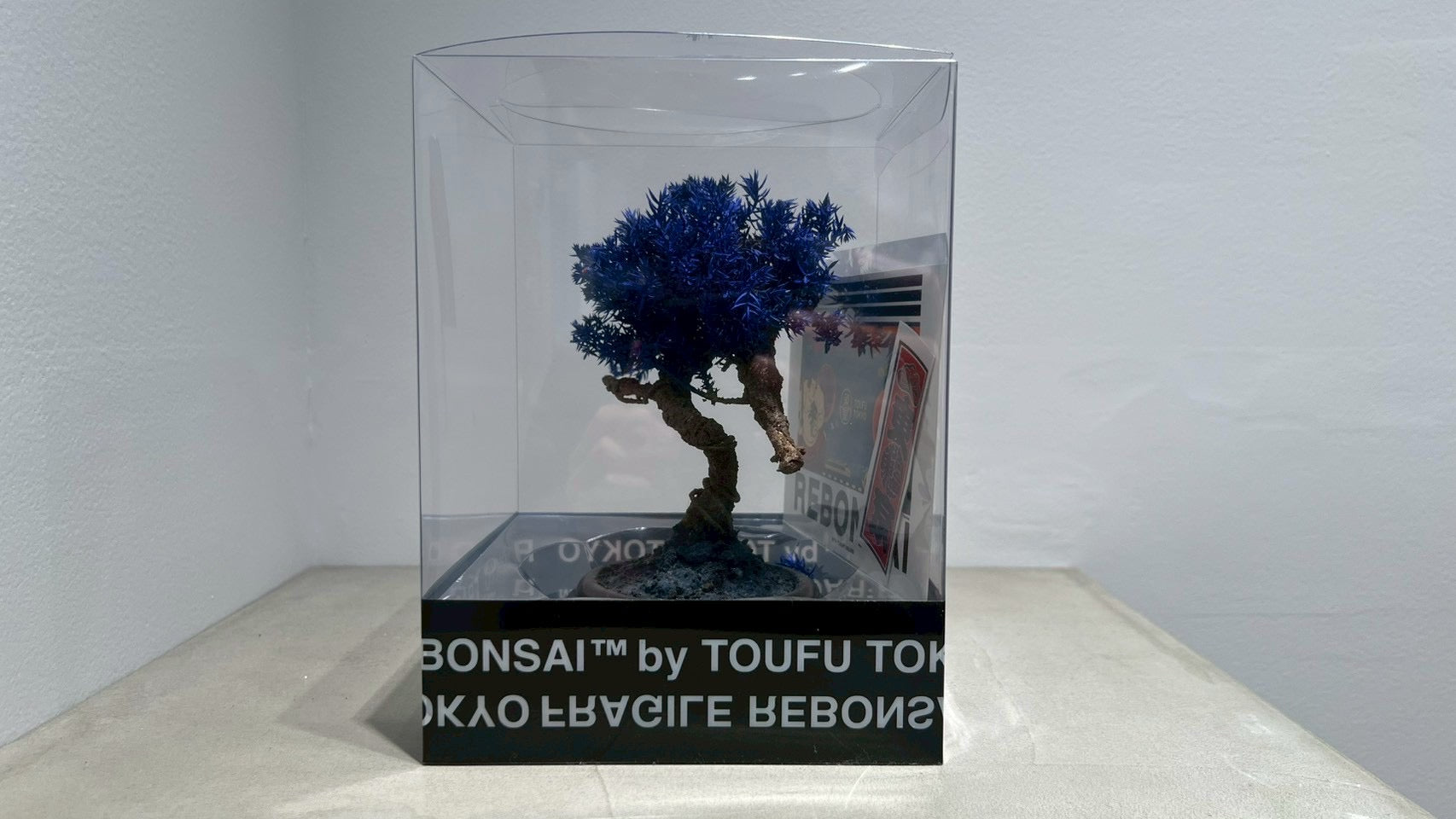 RE BONSAI™️(黒松/紺藍色)