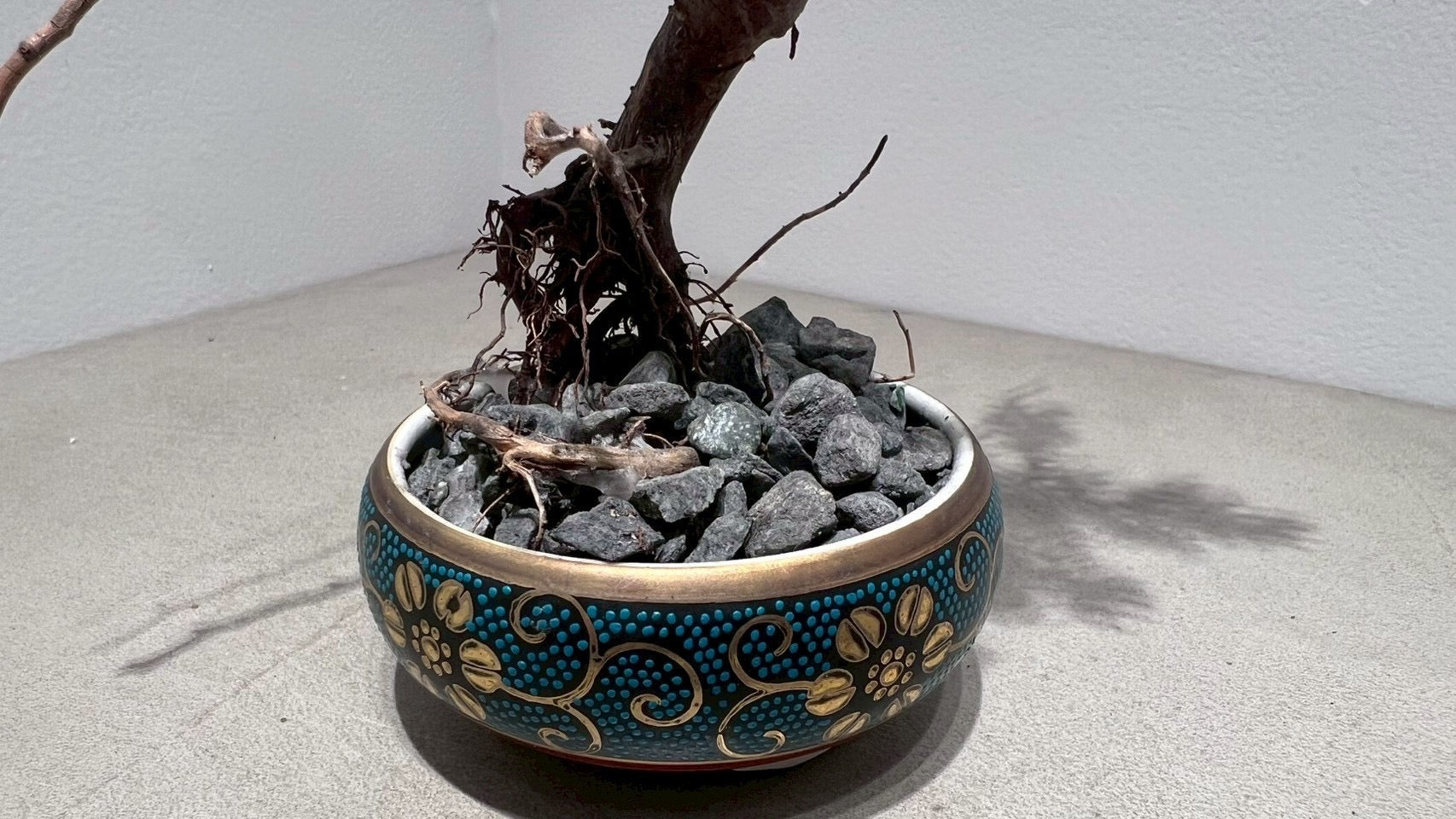 RE BONSAI™️(海松茶色)