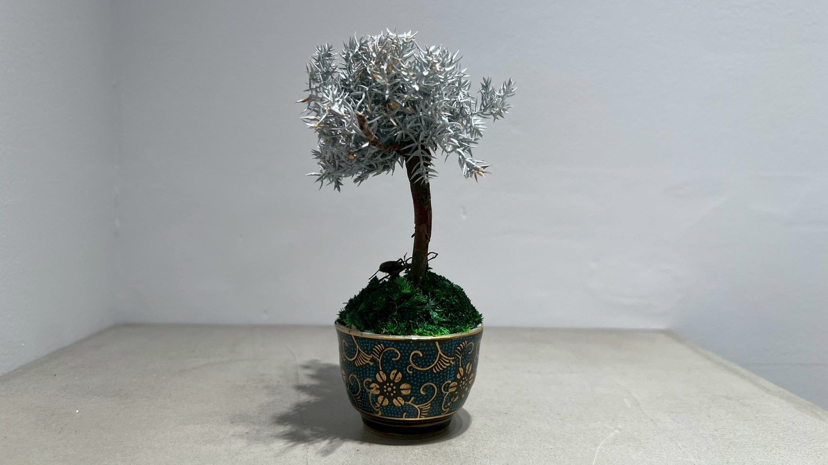 RE BONSAI™️(白百合色)