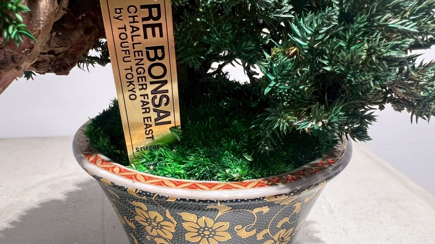 RE BONSAI™️(海松茶色)