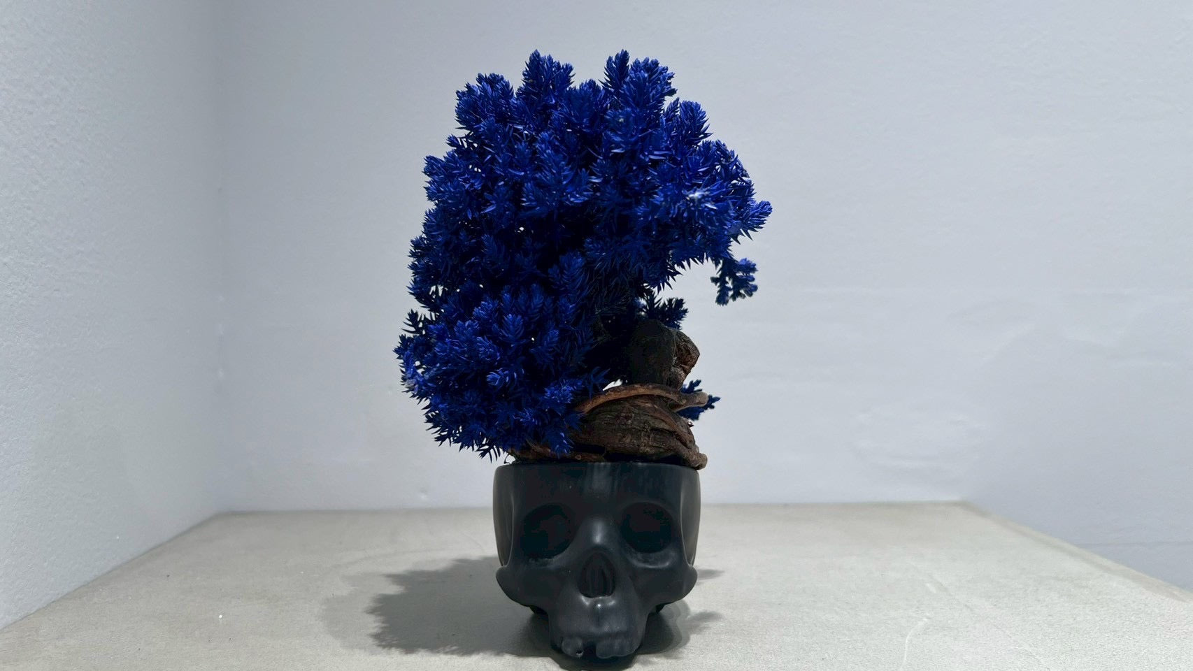 SKULL RE BONSAI™️(紺藍色)