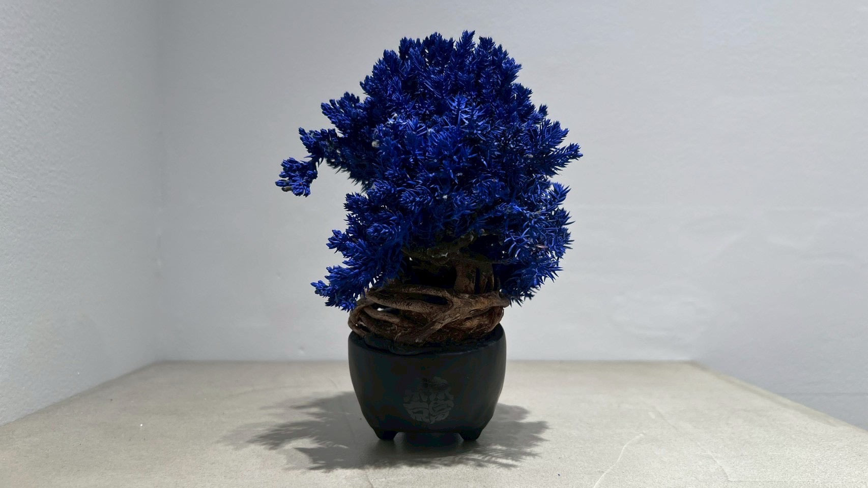 SKULL RE BONSAI™️(紺藍色)