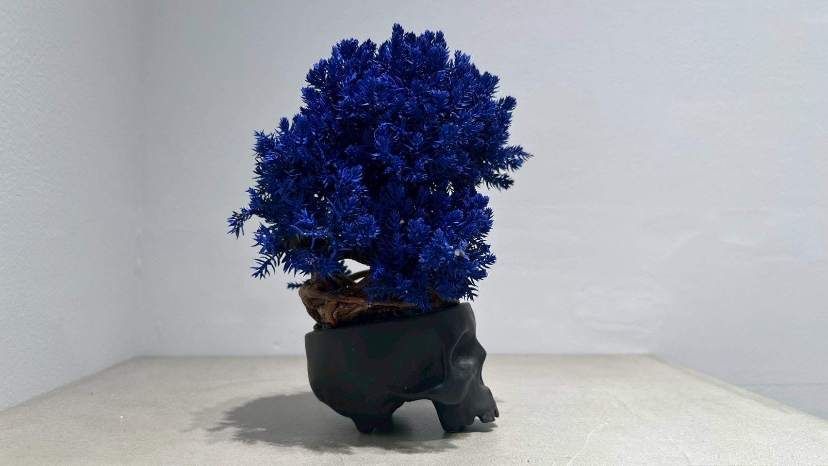 SKULL RE BONSAI™️(紺藍色)