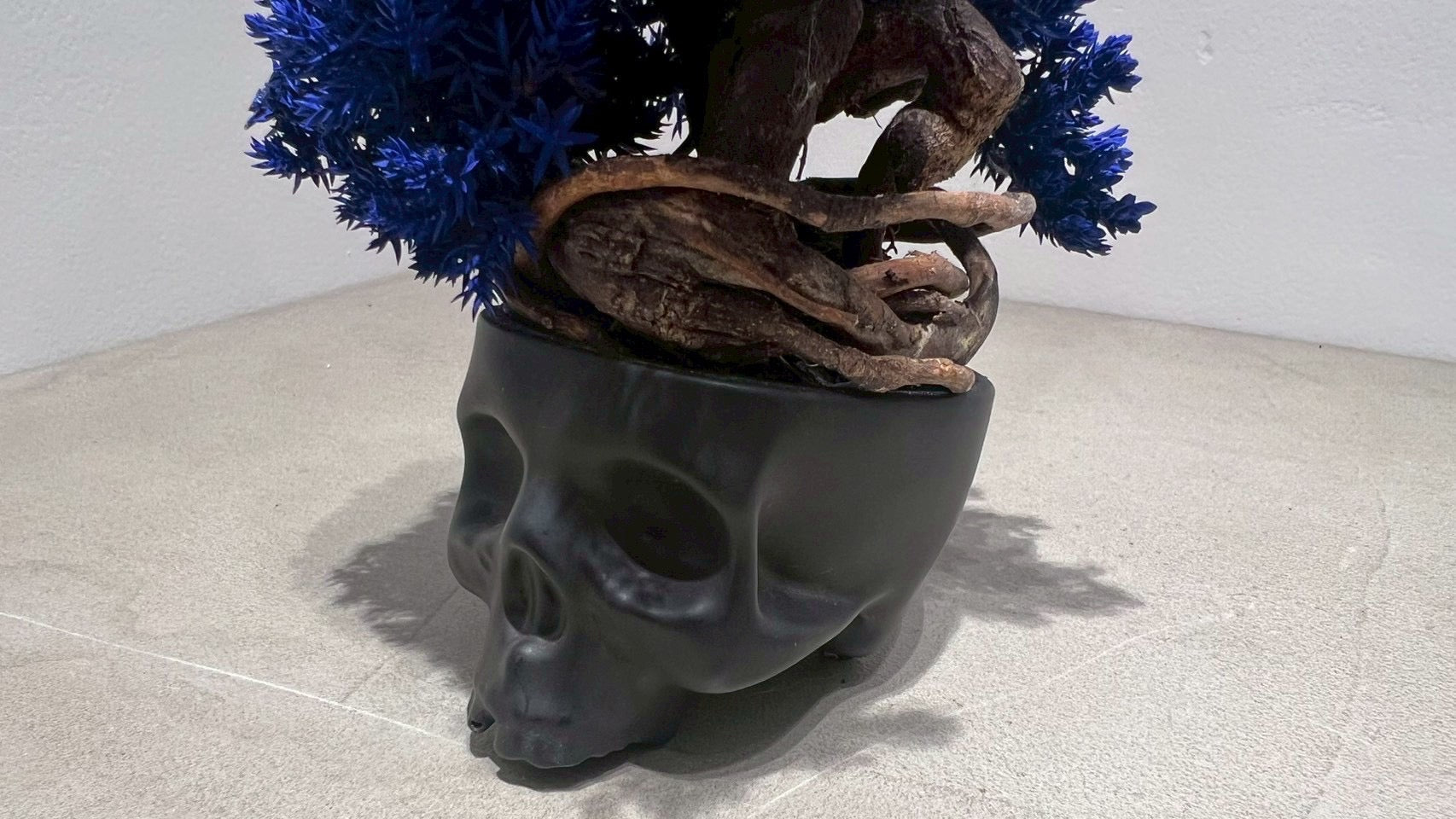 SKULL RE BONSAI™️(紺藍色)