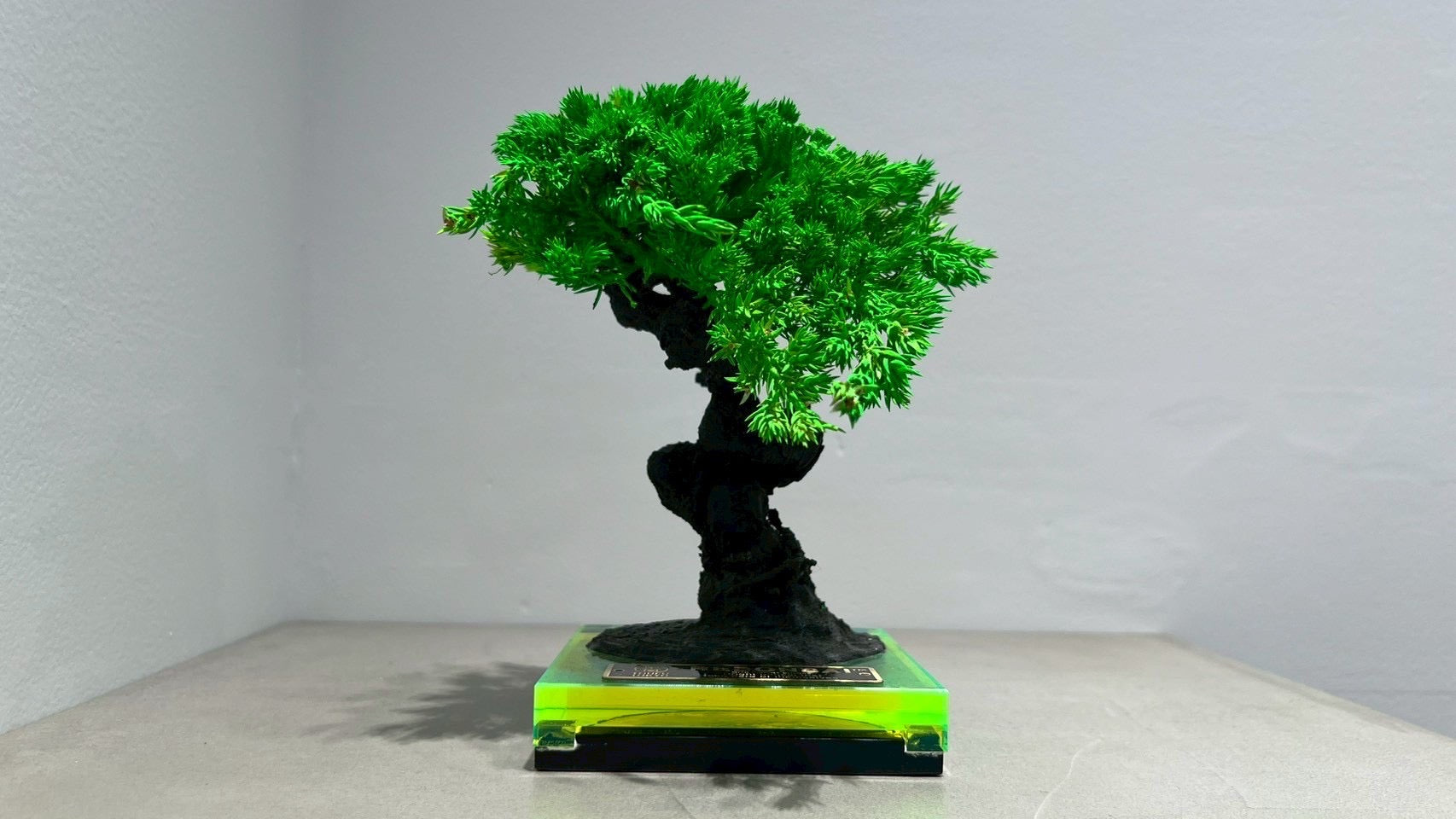 RE BONSAI™️(NEON GREEN)