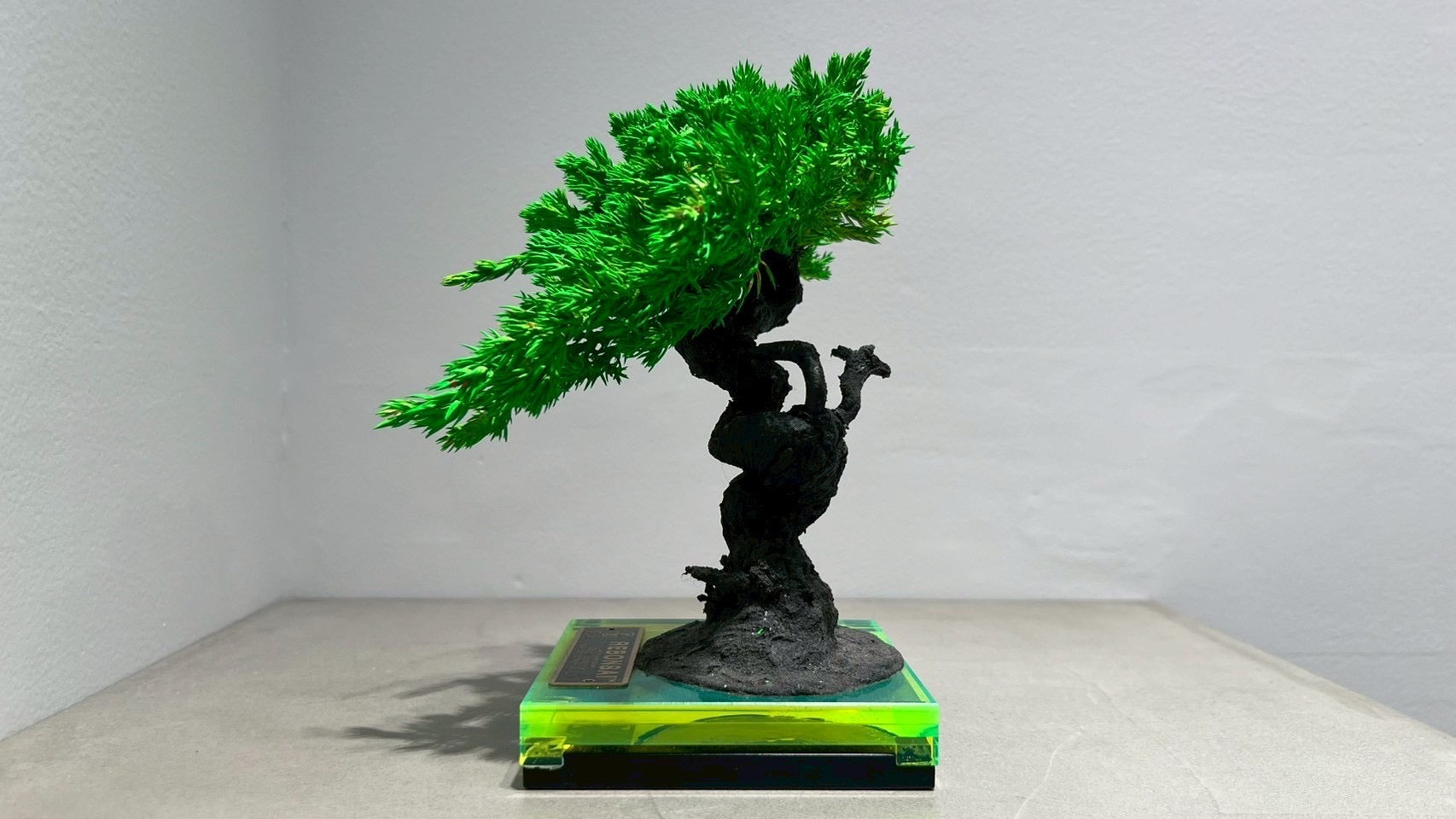 RE BONSAI™️(NEON GREEN)