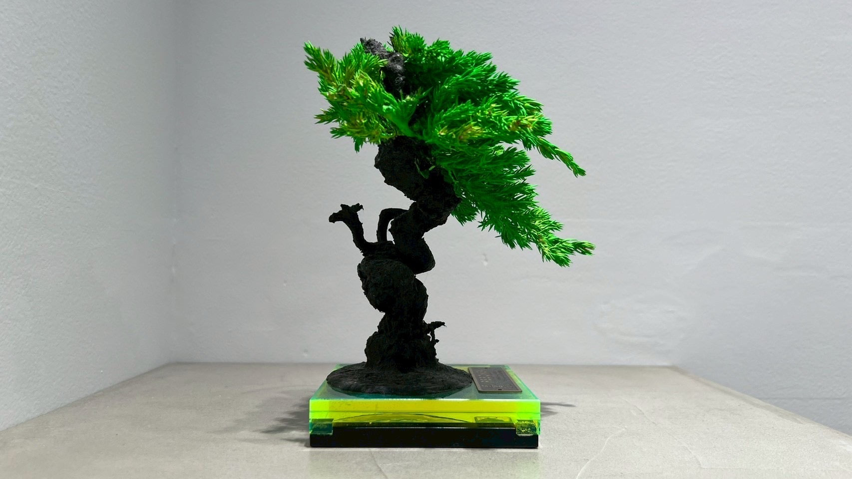 RE BONSAI™️(NEON GREEN)