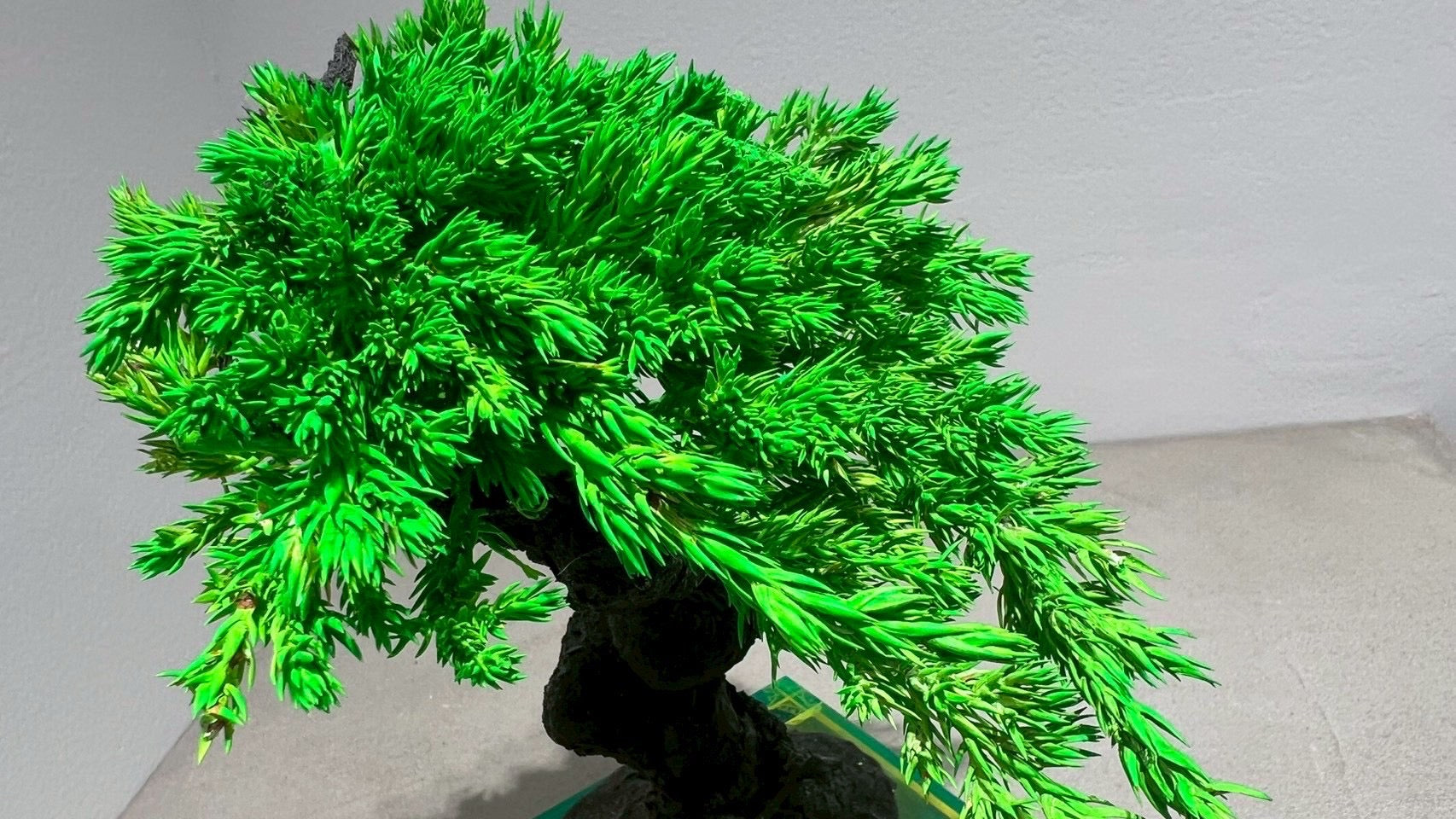 RE BONSAI™️(NEON GREEN)