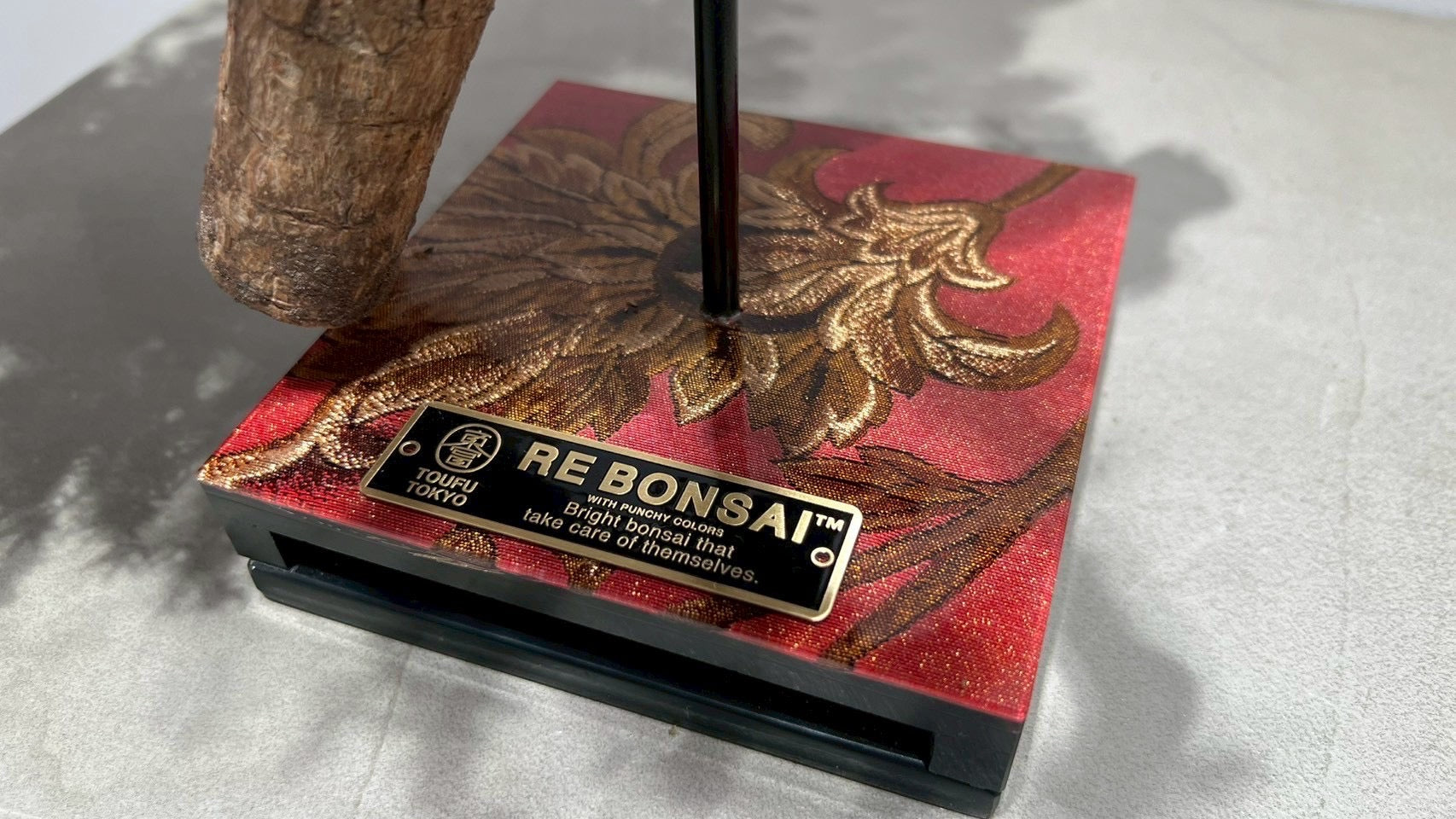 RE BONSAI™️(紅樺色)