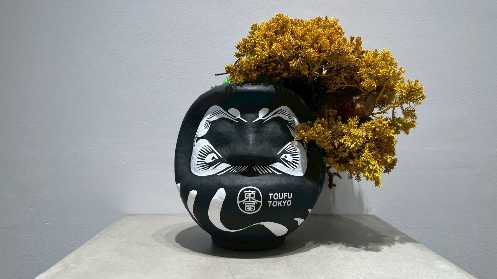 DARUMA RE BONSAI™️(黄檗色)
