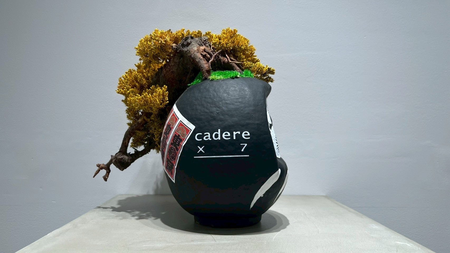 DARUMA RE BONSAI™️(黄檗色)